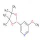 5-甲氧基-3-吡啶硼酸频哪醇酯-CAS:445264-60-8