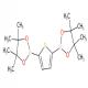 2,5-双噻吩硼酸频哪醇酯-CAS:175361-81-6