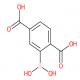 2-硼酸基对苯二甲酸-CAS:1351221-58-3