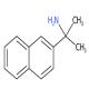 2-(萘-2-基)丙-2-胺-CAS:90299-04-0