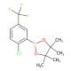 2-氯-5-(三氟甲基)苯硼酸频呢醇酯-CAS:1146214-95-0