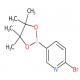 6-溴吡啶-3-硼酸频哪醇酯-CAS:214360-62-0