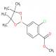 3-氯-4-甲氧羰基苯基硼酸频哪醇酯-CAS:334018-52-9