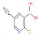 (2-氯-5-氰基吡啶-3-基)硼酸-CAS:957060-96-7