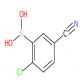 2-氯-5-氰基苯硼酸-CAS:936249-33-1