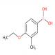 4-乙氧基-3-甲基苯硼酸-CAS:850568-08-0