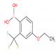 4-乙氧基-2-三氟甲基苯硼酸-CAS:313545-39-0