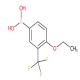 4-乙氧基3-三氟甲基苯硼酸-CAS:871329-83-8