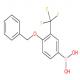 4-苄氧基-3-三氟甲基苯硼酸-CAS:1245014-05-4