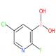 5-氯-2-氟-3-吡啶硼酸-CAS:937595-70-5