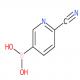 2-氰基-5-吡啶硼酸-CAS:1011722-07-8