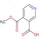4-(甲氧羰基)吡啶-3-羧酸-CAS:24202-74-2