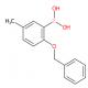 2-(苄氧基)-5-甲基苯基硼酸（含有数量不等的酸酐）-CAS:127972-17-2