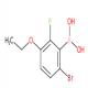 6-溴-3-乙氧基-2-氟苯硼酸-CAS:871126-14-6