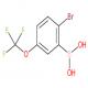 2-溴-5-三氟甲氧基苯硼酸-CAS:957034-55-8