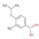 4-异丙氧基-3-甲基苯硼酸-CAS:850568-09-1