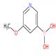 5-甲氧基吡啶-3-硼酸-CAS:850991-69-4