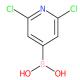 2,6-二氯吡啶-4-硼酸-CAS:1072951-54-2