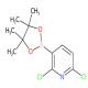 2,6-二氯吡啶-3-硼酸频哪酯-CAS:1073371-78-4