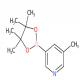 3-甲基吡啶-5-硼酸频哪醇酯-CAS:1171891-42-1