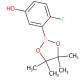 2-氟-5-羟基苯基硼酸频哪醇酯-CAS:1398923-95-9
