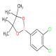 3,4-二氯苯硼酸频那醇酯-CAS:401797-02-2