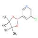 5-氯吡啶-3-硼酸频哪醇酯-CAS:865186-94-3