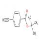 4-炔基苯甲酸叔丁酯-CAS:111291-97-5