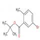 5-溴-2-甲基苯甲酸叔丁酯-CAS:1202551-75-4