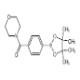 4-(吗啉-4-羰基)苯硼酸频哪酯-CAS:656239-38-2