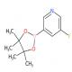 5-氟吡啶-3-硼酸嚬哪醇酯-CAS:719268-92-5