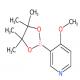 4-甲氧基吡啶-3-硼酸频哪醇酯-CAS:758699-74-0