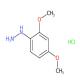 (2,4-Dimethoxyphenyl)hydrazine hydrochloride-CAS:1187931-37-8