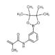 N-(3-(4,4,5,5-四甲基-1,3,2-二氧硼杂环戊烷-2-基)苯基)甲基丙烯酰胺-CAS:1056904-42-7