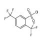 2,5-双三氟甲基苯磺酰氯-CAS:351003-22-0