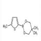 5-甲基噻吩-2-硼酸新戊二醇酯-CAS:1352304-52-9