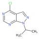 4-氯-1-异丙基-1H-吡唑并[3,4-d]嘧啶-CAS:21254-15-9
