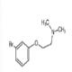 2-(3-溴苯氧基)-N,N-二甲基乙胺-CAS:221915-84-0