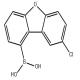 (8-氯二苯并[b,d]呋喃-1-基)硼酸-CAS:2173554-84-0