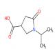 1-异丙基-2-氧代吡咯烷-4-甲酸-CAS:299920-47-1
