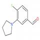 3-(1-吡咯烷基)-4-氟苯甲醛-CAS:1197193-31-9