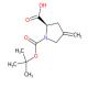 N-Boc-4-亚甲基-D-脯氨酸-CAS:1427175-11-8