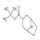 3,8-二氮杂双环[3.2.1]辛烷-3-羧酸叔丁酯-CAS:201162-53-0