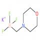 三氟(吗啉代甲基)硼酸钾-CAS:936329-94-1