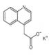 2-(喹啉-4-基)乙酸钾-CAS:2007920-48-9