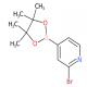 2-溴吡啶-4-硼酸频哪醇酯-CAS:458532-82-6