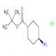 反式-4-氨基环己烷-1-羧酸叔丁酯盐酸盐-CAS:1956389-81-3