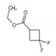 3,3-二氟环丁烷甲酸乙酯-CAS:681128-38-1