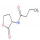 N-(2-氧代四氢呋喃-3-基)丁酰胺-CAS:98426-48-3