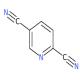 2,5-二氰基吡啶-CAS:20730-07-8
